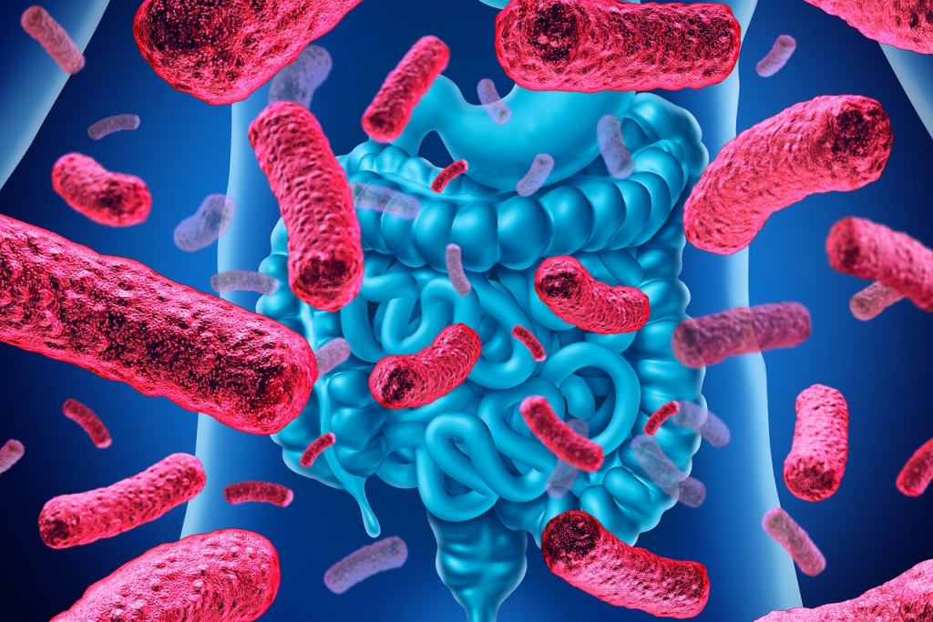 fonctionnement du microbiome